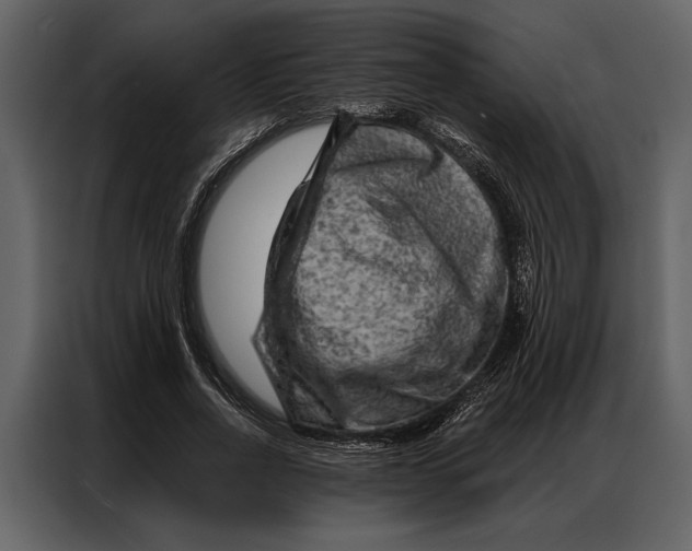 X0000087000734200705071505