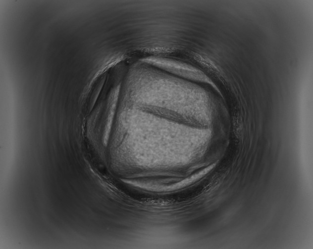 X0000087000735200705071505