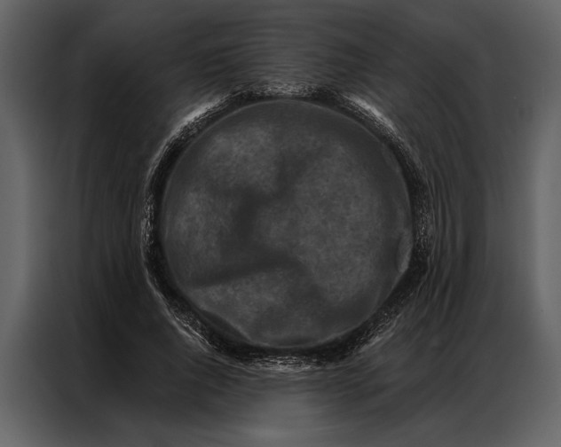 X0000087000736200705071505