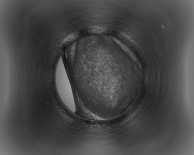 X0000087000737200705071505