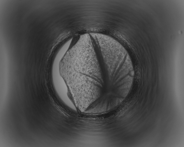 X0000087000738200705071505