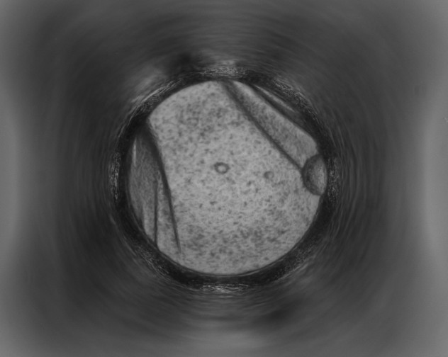 X0000087000739200705071505