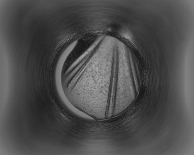 X0000087000740200705071505