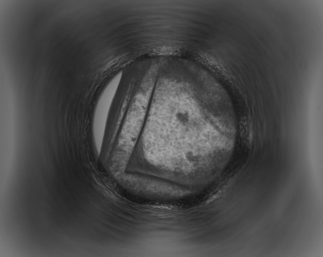 X0000087000741200705071505