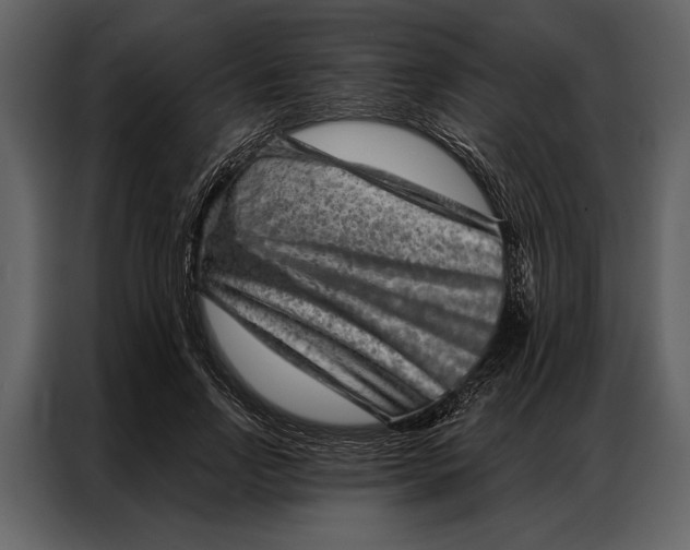 X0000087000742200705071505