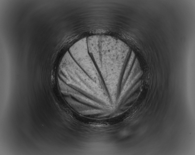 X0000087000743200705071505