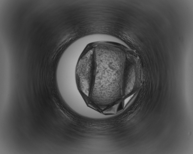 X0000087000744200705071505