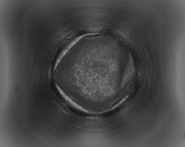 X0000087000745200705071505