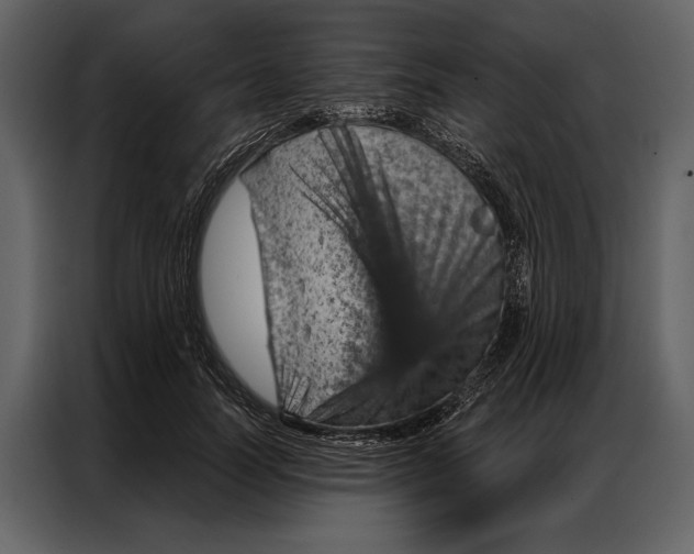 X0000087000746200705071505