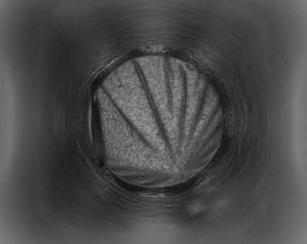 X0000087000747200705071506