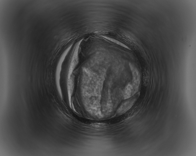 X0000087000748200705071506