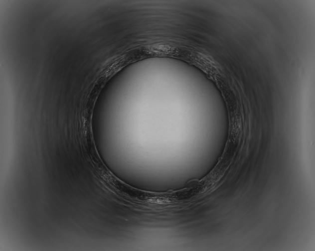 X0000087000749200705071506