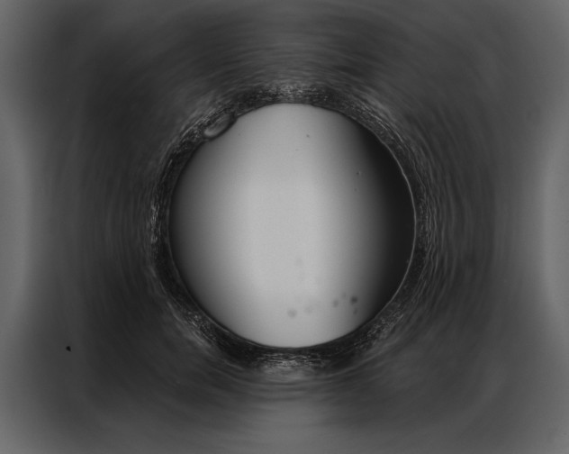 X0000087000750200705071506