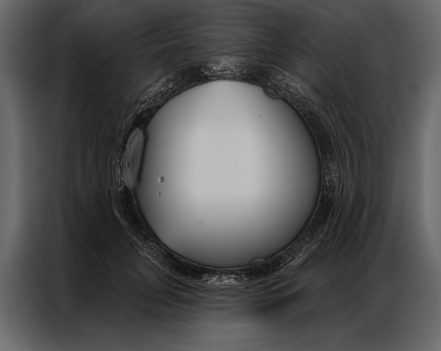 X0000087000751200705071506