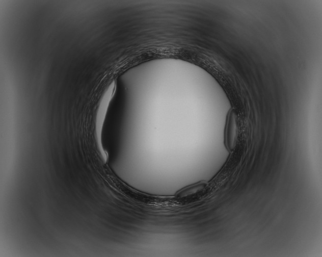 X0000087000752200705071506