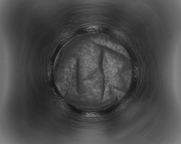 X0000087000753200705071506