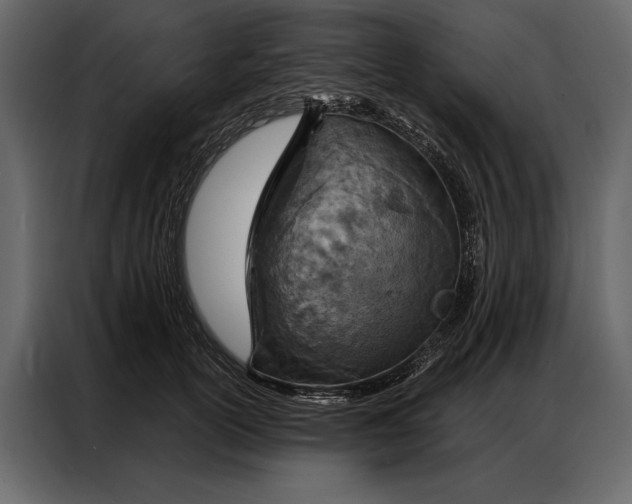 X0000087000754200705071506