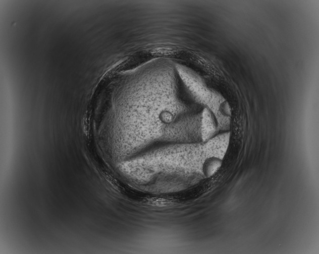 X0000087000755200705071506