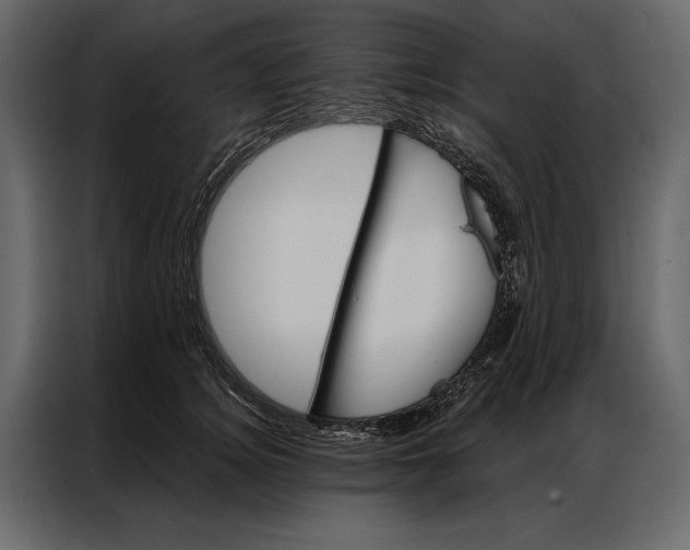 X0000087000756200705071506