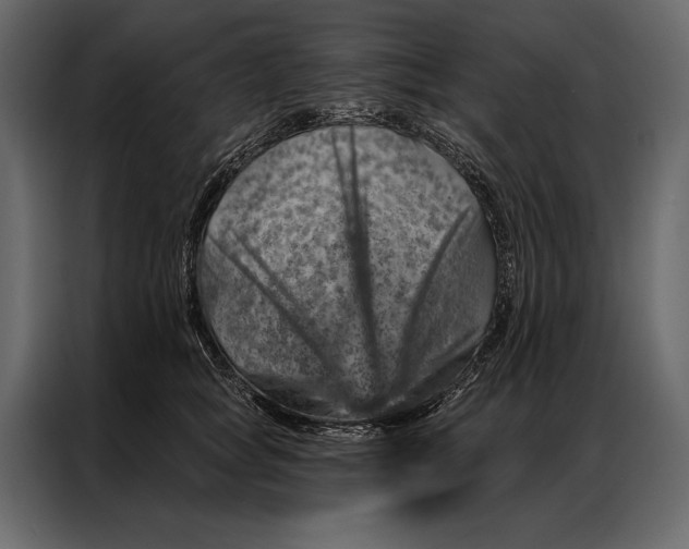 X0000087000757200705071506