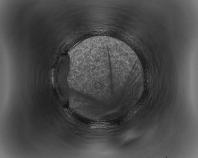 X0000087000758200705071506