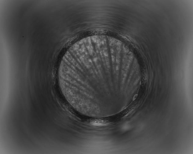 X0000087000759200705071506