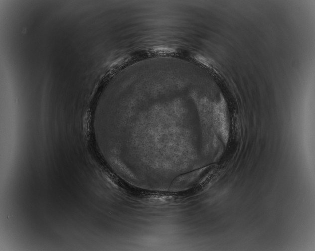 X0000087000760200705071506