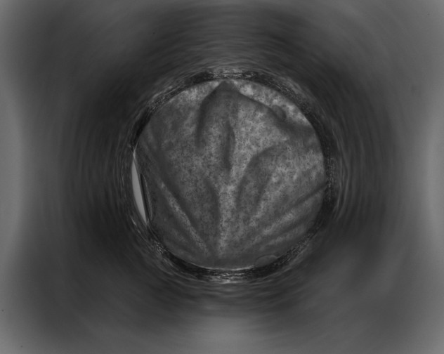 X0000087000761200705071506