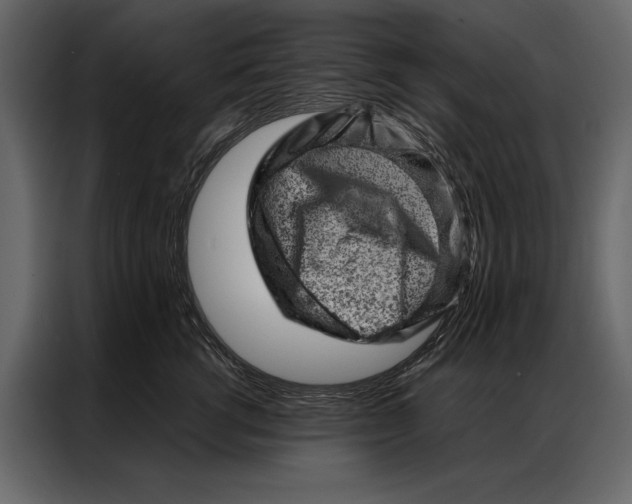 X0000087000762200705071506