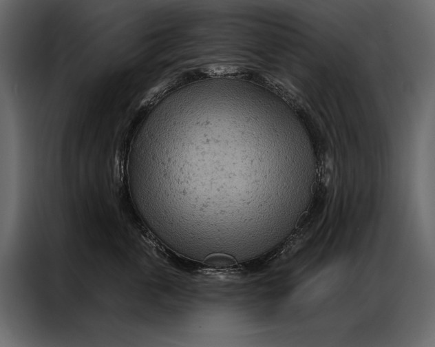 X0000087000763200705071506