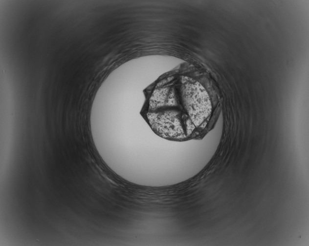 X0000087000764200705071506