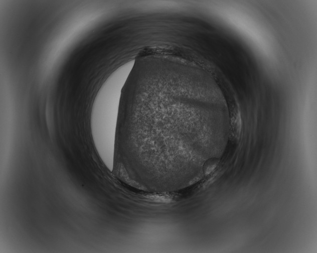 X0000087000765200705071506