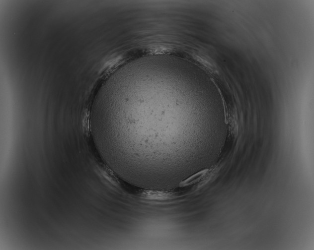 X0000087000766200705071506