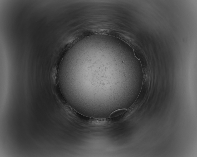 X0000087000767200705071506