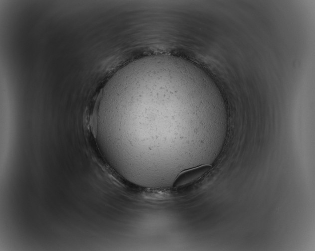 X0000087000768200705071506