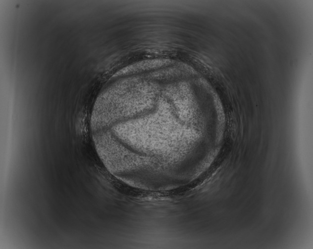 X0000087000770200705071505