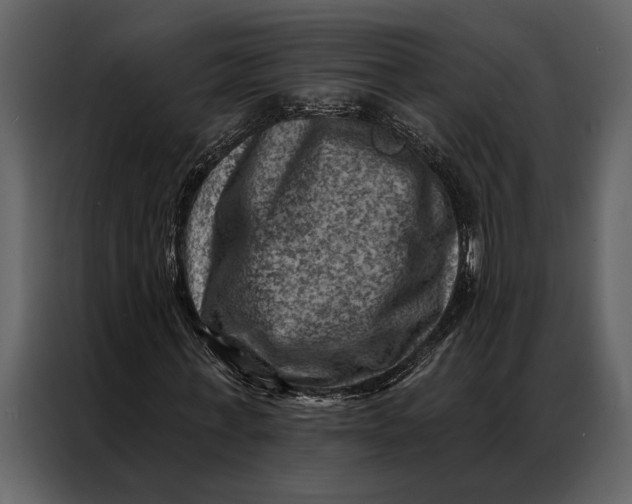 X0000087000771200705071505