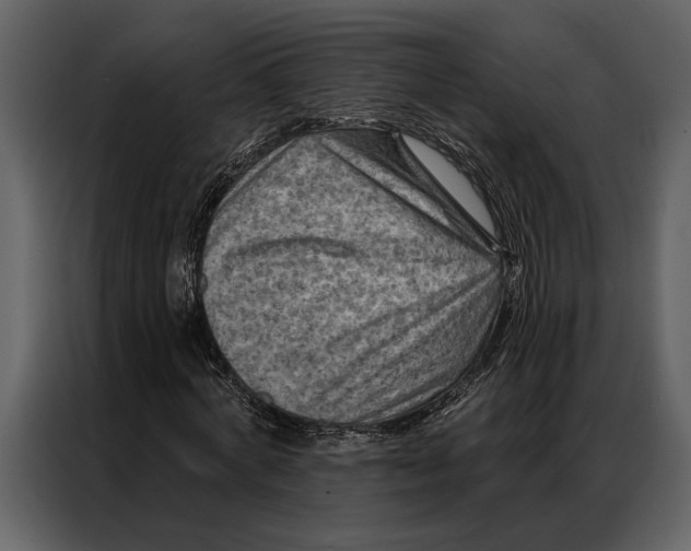 X0000087000772200705071505