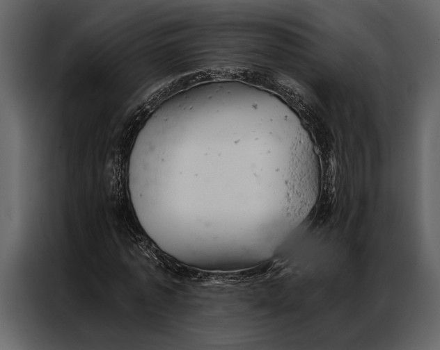 X0000087000773200705071505