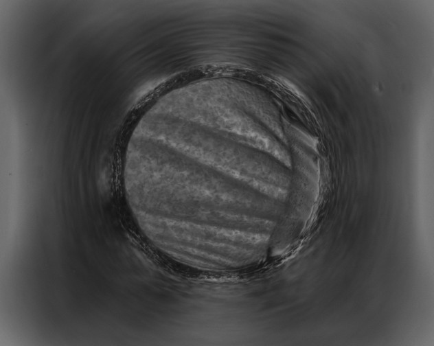 X0000087000775200705071505