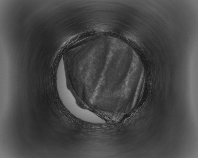 X0000087000776200705071505