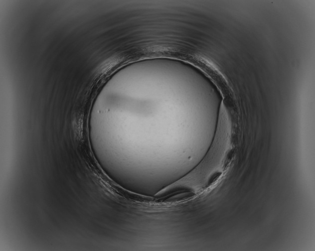 X0000087000777200705071505