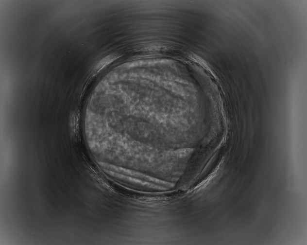 X0000087000778200705071505