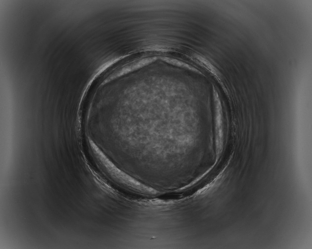 X0000087000779200705071505