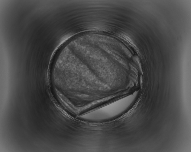 X0000087000780200705071505