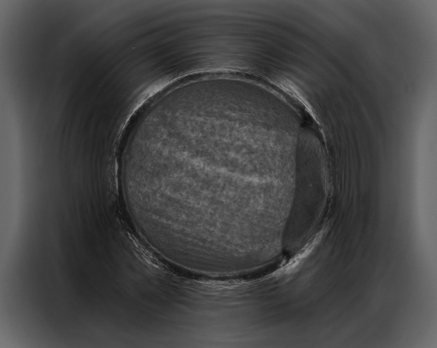 X0000087000781200705071505