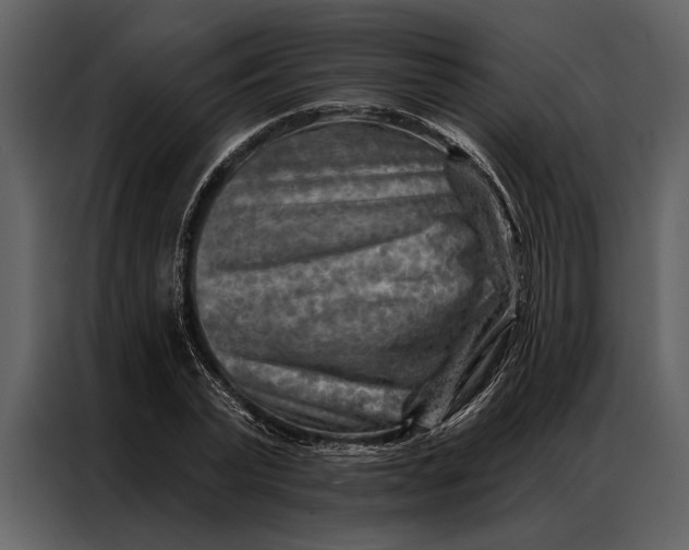 X0000087000783200705071505