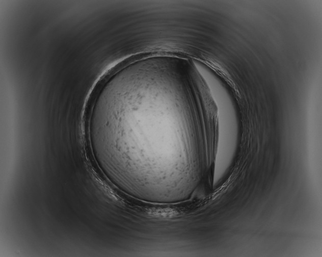 X0000087000784200705071505