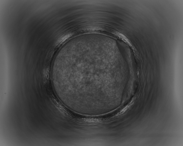 X0000087000785200705071505