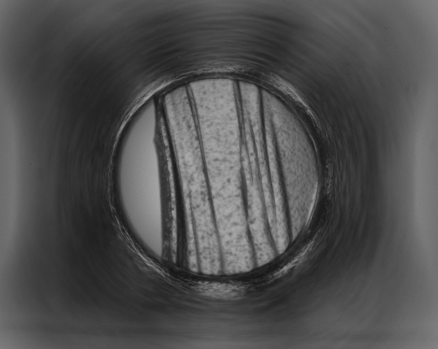 X0000087000786200705071505